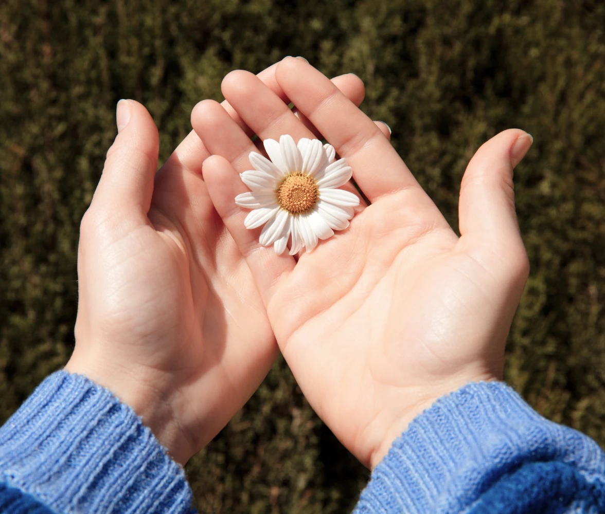 身体に安心な治療のイメージ