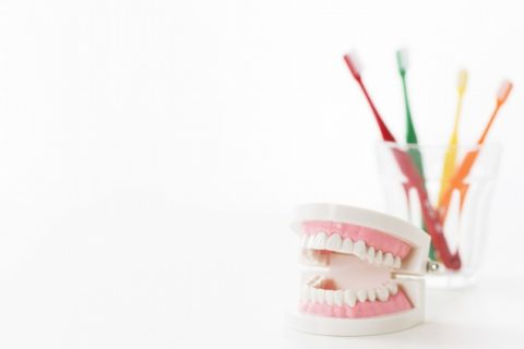 正しい歯ブラシの管理方法