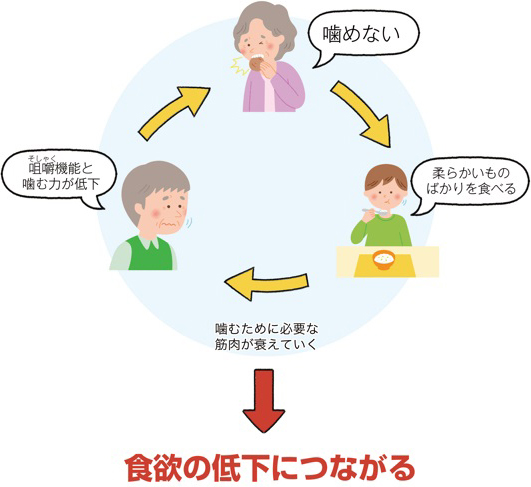 食欲の低下につながるサイクル